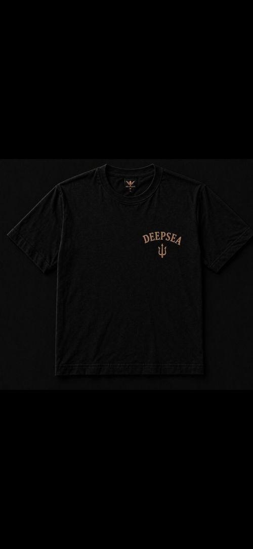 Premium black heavyweight tee crafted from 100% cotton (300 GSM) with a clean DeepSea chest logo and relaxed oversized fit for everyday wear.