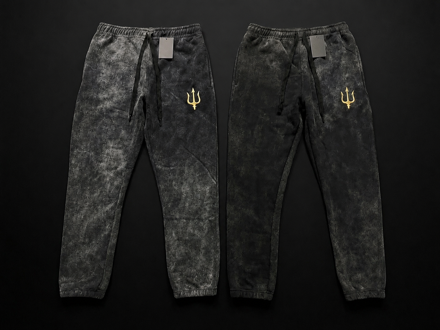 Trident sweatpants
